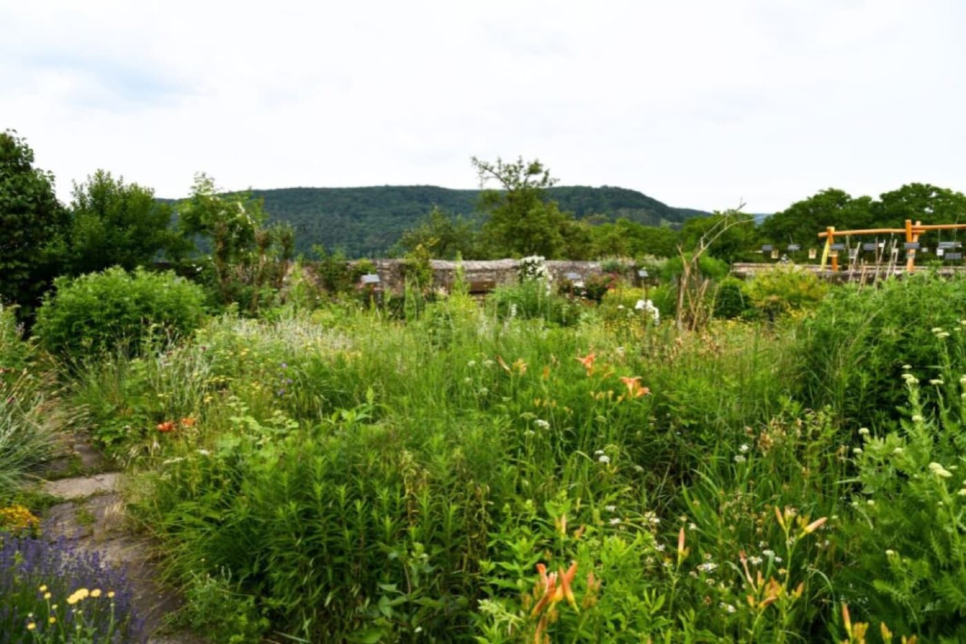 Jardin méditerranéen à Caudéran — avant